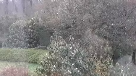 Der Frühling kündigt sich an / © Sr. Emmanuela (privat) Der Frühling kündigt sich an / © Sr. Emmanuela (privat)