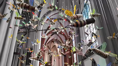Bienen im Xantener Dom / © Sr. Emmanuela (privat) Bienen im Xantener Dom / © Sr. Emmanuela (privat)