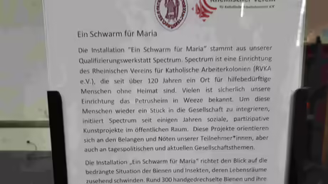 Ein Schwarm für Maria / © Sr. Emmanuela (privat) Ein Schwarm für Maria / © Sr. Emmanuela (privat)