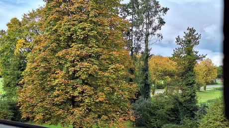 Der Herbst ist da! / © Sr. Emmanuela (privat) Der Herbst ist da! / © Sr. Emmanuela (privat)