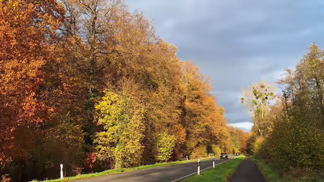 Herbst in Angermund / © Sr. Emmanuela (privat)