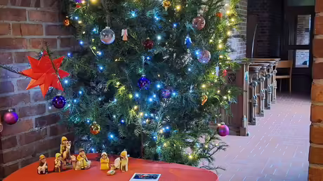 Weihnachtsbaum im Kloster Angermund / © Sr. Emmanuela (DR) Weihnachtsbaum im Kloster Angermund / © Sr. Emmanuela (DR)
