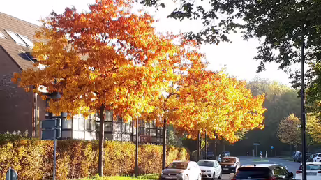 Herbst in Angermund / © Sr. Emmanuela Kohlhaas (privat)