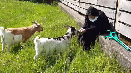 Sr. Benedikta mit den Ziegen (privat) Sr. Benedikta mit den Ziegen (privat)
