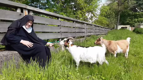 Sr. Benedikta mit den Ziegen (privat) Sr. Benedikta mit den Ziegen (privat)
