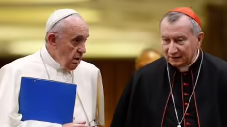 Papst Franziskus (l.) und Pietro Parolin (Archiv) / © Paul Haring (KNA) Papst Franziskus (l.) und Pietro Parolin (Archiv) / © Paul Haring (KNA)