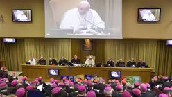 Papst Franziskus und Geistliche in der Synodenaula zu Beginn der Amazonas-Bischofssynode / © Cristian Gennari (KNA) Papst Franziskus und Geistliche in der Synodenaula zu Beginn der Amazonas-Bischofssynode / © Cristian Gennari (KNA)