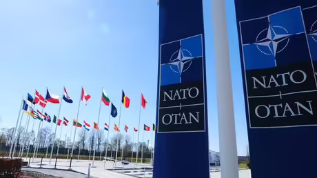 Fahnen mit dem Logo der NATO und deren Mitgliedsstaaten / © Alexandros Michailidis (shutterstock)