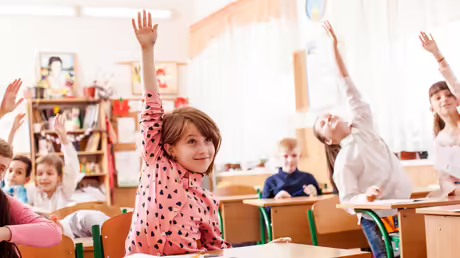 Schüler recken den Arm im Unterricht / © Sunflower Light Pro (shutterstock) Schüler recken den Arm im Unterricht / © Sunflower Light Pro (shutterstock)