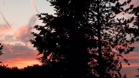 Sonnenuntergang aus meinem Bürofenster / © Sr. Emmanuela Kohlhaas (privat) Sonnenuntergang aus meinem Bürofenster / © Sr. Emmanuela Kohlhaas (privat)